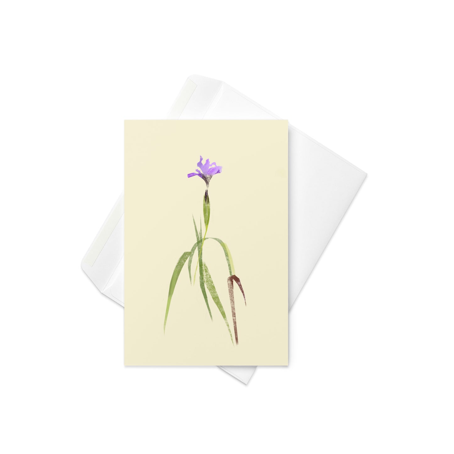 4x6 Douglas Iris 01 card