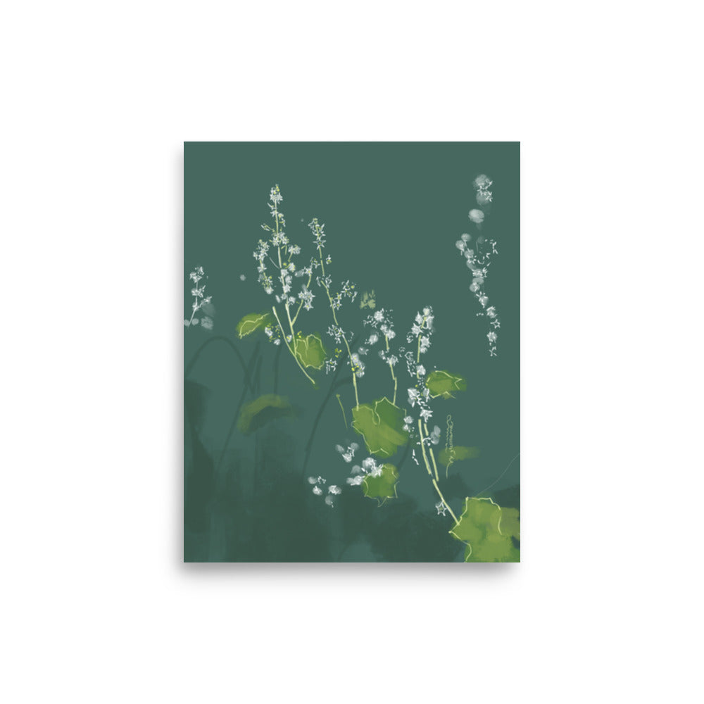 8x10 Wild Cucumber print