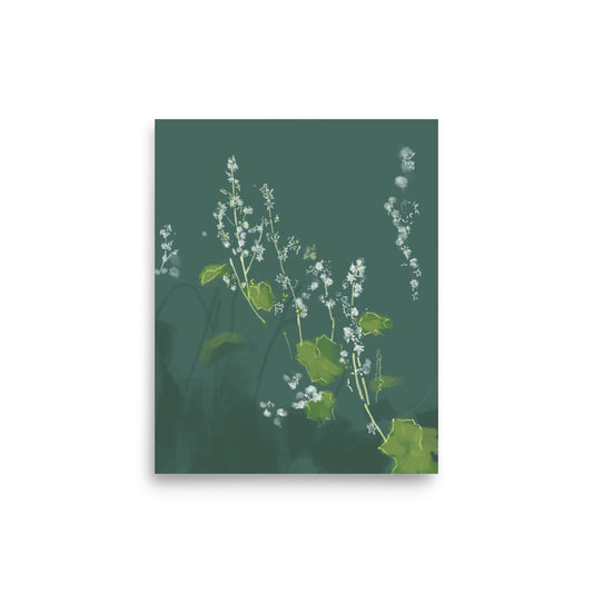 8x10 Wild Cucumber print
