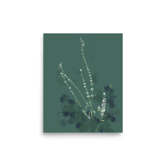 8x10 Stinging Nettle print