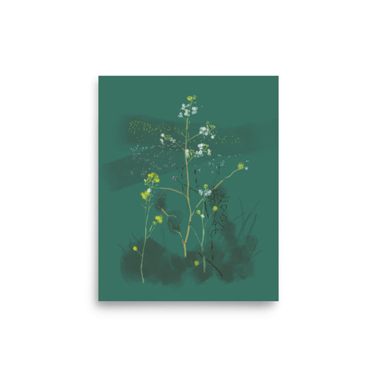 8x10 Wild Arugula print