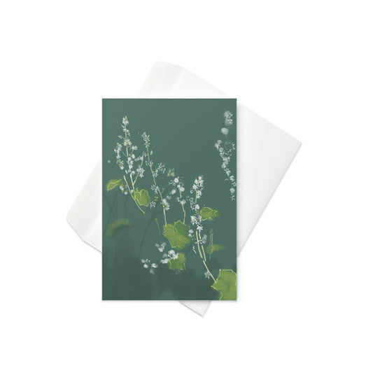 4x6 Wild Cucumber card