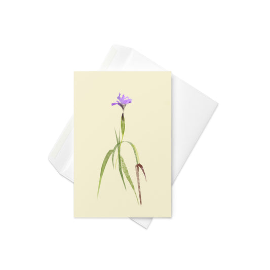 4x6 Douglas Iris 01 card