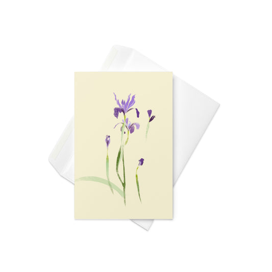 4x6 Douglas Iris 02 card