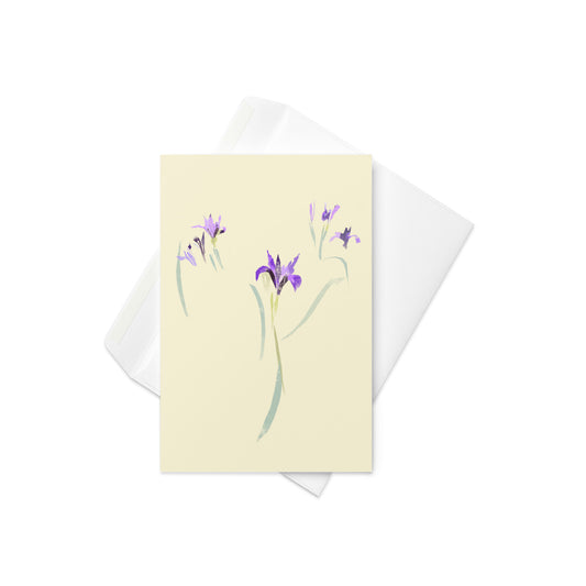 4x6 Douglas Iris 04 card